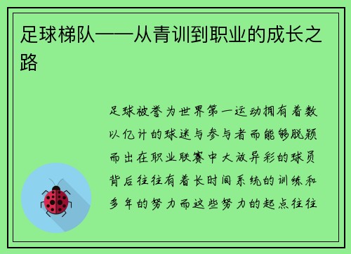 足球梯队——从青训到职业的成长之路